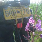AnchorageFlowers