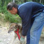 DOGSLEDBOB