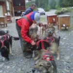 Alaska DogSledTEAMeXERCISE