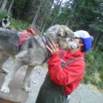 DogsledTEAM3