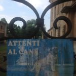 2016 iphone pix, Italy & New Mexico 358