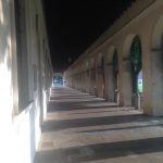 2016 iphone pix, Italy & New Mexico 406
