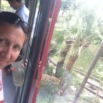 2016 iphone pix, Italy & New Mexico 449
