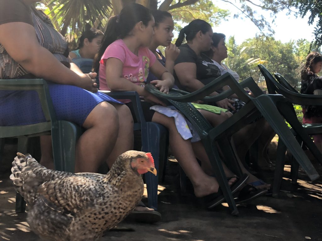 Chicken project in El Salvador