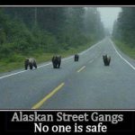AlaskanStreetGangs