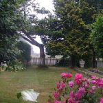 DSC00079