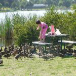 DSC00546