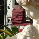 DSC09877