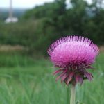 DSCF28335B15D