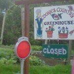 HomerCookiesGreenhouse