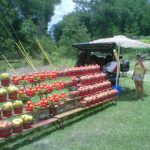 IMG00092-20120610-1329