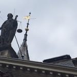 IMG_6545