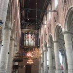 IMG_6551