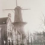 IMG_6690