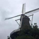 IMG_6739