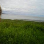 KenaiOnInletShore