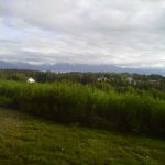 LogCabinwindow