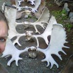 MooseAntlersSoldotna