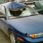 Moosethroughwindshield