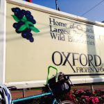 OxfordBlueberries