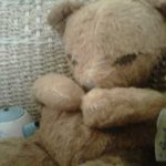PalmerTeddyBear