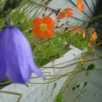 PrattMuseumFlowers