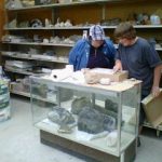 RockShop