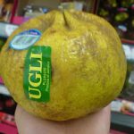 UGLI