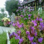 img_62b33d79924ca