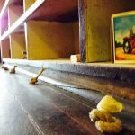 photo_2252832529