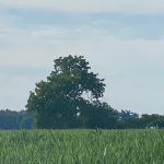 2DF21791-45B8-4B1B-8892-E814260E04F1