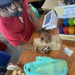 E10095A8-70AB-4F57-9C79-67539FAB9C82