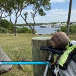 ED73B019-0B8F-4034-AC29-6E8EB9A87CDA