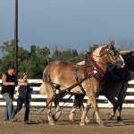 IMG_3395