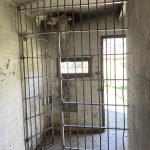 IMG_6173