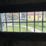 IMG_6174