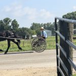 Amish, MI